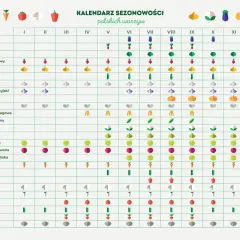 Kalendarz polskich warzyw sezonowych. W czerwcu dostępne są m.in. brokuły, fasolka szparagowa, groszek zielony, kalarepa, kapusta biała i czerwona, marchew, ogórek, papryka, pomidor.